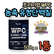 복근 키우기 웨이 프로틴 WPC 유청 가성비 단백질 웨이트 트레이닝 게이너 PT 멸치탈출 근육 만들기 보디빌더 운동선수 농축 단백분말 등 가슴 허벅지 보충제