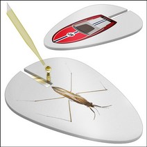 표면장력 소금쟁이보트(10인용), 우주선10인용