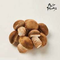 순천향농원 송화버섯 1kg 실속형 산지직송 무농약 (1989321)