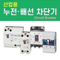 나노전기 (산업용) (사은품) 반드시 설치! 고감도 누전 배선 차단기 두꺼비집 주택 아파트 다세대, 산업용 배선 차단기 (NFB) / 14. NBH-32ca/ 20A