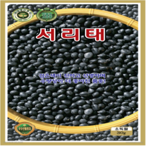 OK농장 [[콩] 서리태(30g)] 서리태콩씨앗 종묘 묘종 씨앗 채소씨앗 꽃씨앗(KS종묘)
