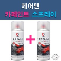 쌍용 체어맨 AAU ABD ABF ABS ACD LAE SAB SAF WAA 자동차 차량용 도색 카페인트 스프레이 세트, 1-4. ABS 사이버그레이+투명