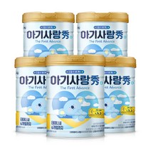뉴 아기사랑 수 어드밴스 분유 1단계 750g, 5개