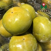 당일 갓 따온 태추 단감 3kg 5kg, 01_ 태추 단감 3kg 14-21과, 1개
