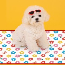 [커버분리] 뉴밈 강아지 쿨 매트 고양이 애견 아이스 시원한 여름 냉감 패드, 베이직set M