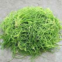 채선 해풍맞아 짭짤한 세발나물, 1팩, 1kg