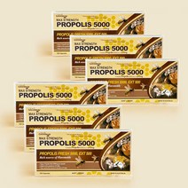 네이쳐스그린웨이 호주 프리미엄 고함량 프로폴리스 5000mg 120캡슐 4개월분 플라보노이드 사은품, 6개