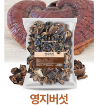 판박마켓 진시황이 찾던 버섯 장수버섯 신초로 불리는 영지버섯 500g (파쇄)