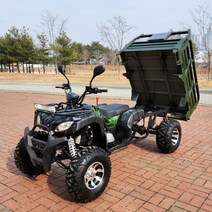 ATV 파밍 200cc 농업용 화물바이크 사륜오토바이 농사용 사발이 비료 퇴비 과수원 농장짐운반 효도선물 어버이날선물
