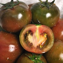 푸르젠 보성 산지직송 달콤아삭 흑토마토 2kg, 단품없음