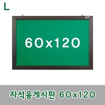 HACHO_ 물약투약함 보드 약투약케이스 자석보드 어린이집약투약함 게시판 융게시판, 옵션_ 자석융게시판 60x120, 옵션_ 청색/레드