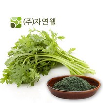 자연웰 48종류 천연 곡물가루 야채분말 천연조미료 율무가루 검은깨가루 팥가루 시금치분말 비트분말 카카오분말 석류분말 강황 도라지 히비스커스 새싹보리 ABC주스, 국산쑥가루100g