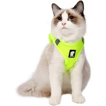 고양이캣휠 캣휠 고양이휠Heywean 고양이 하네스 및 목줄 - 초경량 탈출 방지 칼라 러, 02 Small_06 초록색.