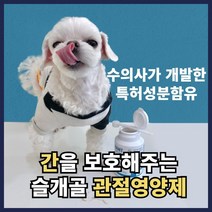 수의사가 만든 강아지 슬개골 관절 종합 간 영양제 가루 초록홍합 노견 대용량 동물병원
