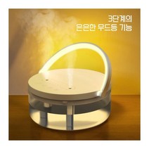CLASSY HP931 듀얼가습기