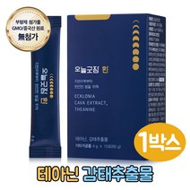테아닌 감태 추출물 치자 타트체리 마그네슘 오늘 굿잠 환