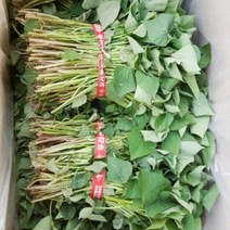 맛있는 농장 호박고구마 모종 20kg, 5월 19일 도착