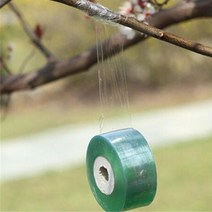 접목 테이프 정원 나무 과수 원예 조경 접목용 식물 테잎 3cm x 100m 1롤