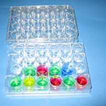 (사이언스마켓)ssc실험용 24홈판