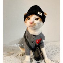 핑크젤리59 강아지털모자 고양이모자 비니 군밤 골지 겨울 목도리 강아지커플룩 반려견 반려묘 귀도리, 블랙