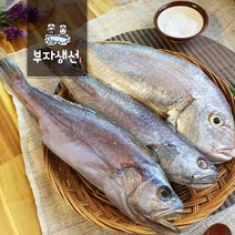 제수용생선 세트 반건조 침조기 참돔 참민어 세트(부산 망미중앙시장 부자생선), 침조기+참민어+참돔 소