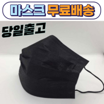 대중교통 데일리 가벼운 성인 대형 어른 비말차단 일회용 필터 덴탈 여름 마스크 50매, 성인 블랙 50매