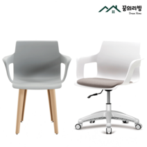 꿈의리빙 루디체어 인테리어 의자 원룸 책상 사무실 공부방 공부 학생 컴퓨터 독서실 의자, 바퀴X, 쿠션O, 펀그린