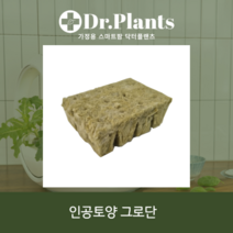[닥터플랜츠] 씨앗발아용 그로단 12구 암면배지 프리미엄 인공토양/수경재배 토경재배/네덜란드 수입