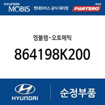 엠블램-오토메틱 (864198K200) 뉴 슈퍼 에어로 시티 슈퍼 에어로 시티 특장