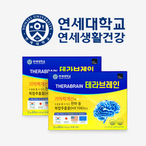 연세대 테라 브레인 기억력 두뇌 건강 기능식품, 120g, 2개