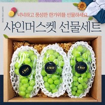 프리미엄 추석 샤인머스켓 선물세트 3kg내외 (3-4수), 샤인머스켓(3-4수)
