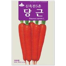 당근씨앗 3000립 당근씨앗, 1개