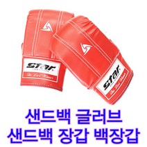 샌드백글러브 샌드백장갑 스타스포츠 복싱타격장갑 샌드백타격연습용