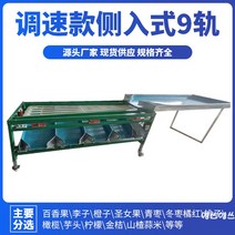 과일선별기 자동 컨베이어 채소 감자 자두 귤 선별기 과일 야채 분배기 농업용, 스피드 컨트롤 사이드 9트랙