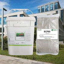 정화조 냄새 폐수처리 감소 슬러지 관리제 분뇨 250g 10팩 폐수 냄새제거 화장실 제거 ghddprjs*45743260ZN, 1, 본상품선택