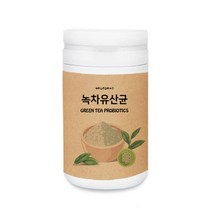 에너데이 녹차유산균 녹차유래유산균 모유유산균 분말 가루 프롤린 가세리 포스트바이오틱스 프리바이오틱스 장생존 장면역 유익균증식, 1통, 230g