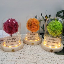 메세지 각인 스칸디아모스 무드등 만들기 DIY 키트, 오렌지_폰트3