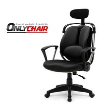 특)뉴테라 시스템의자 G778M, 색상:블루