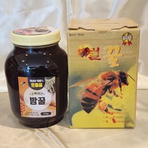 홍제원 소백대간 토종꿀 밤꿀 2.4kg, 소백대간밤꿀(2.4kg)