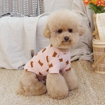 오드스튜디오 데일리 베베 베어 강아지 티셔츠, 핑크