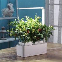 Frokom 탁상수경단지 LED 식물재배기 스마트팜 야채 홈 수경재배 MT-3100, 흰색