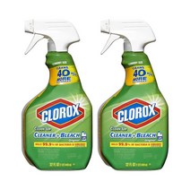 클로락스 다목적 클리너 946ml 2팩 Clorox Clean-Up All Purpose Cleaner with Bleach Spray Bottle