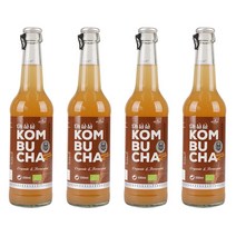 오라라 유기농 비건 콤부차 원더 진저 330ml 4병 373985