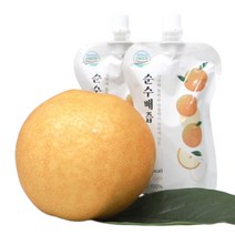 배즙 100% 프리미엄 나주 착즙 120ml, 프리미엄 나주 배즙 100% 착즙 20포(일반박스), 2박스