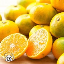 하례마을 못난이 하우스감귤 2kg (혼합과 실중량), 단품