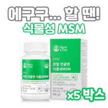 관절 연골엔 식물성 MSM 120정 하루두알 2개월분 엠에스엠 디메틸설폰 N아세틸글루코사민 비타민D 초록입홍합 보스웰리아 상어연골 생선콜라겐 해조칼슘 할머니 할아버지 부모님 등산, 5개