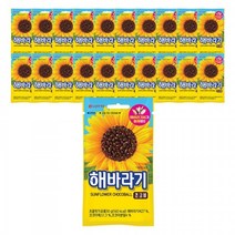 롯데제과 해바라기 초코볼, 30g, 20개