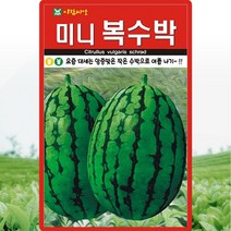 미니 복수박 씨앗 수박 씨 종자 5립, 단품