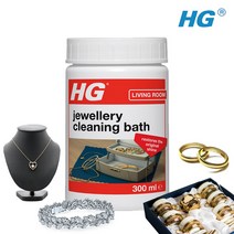 HG 쥬얼리클리너 은세척제 금세척 반지 귀걸이 목걸이 세척 300ml, 1개