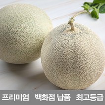 영화농산 영화청과 국내산 멜론 2kg 프리미엄 백화점 납품 가격 허니듀 머스크 시세, 녹색, 상세페이지 별도표기